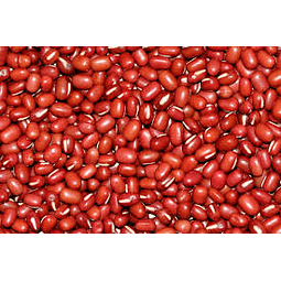紅豆 1 公斤
