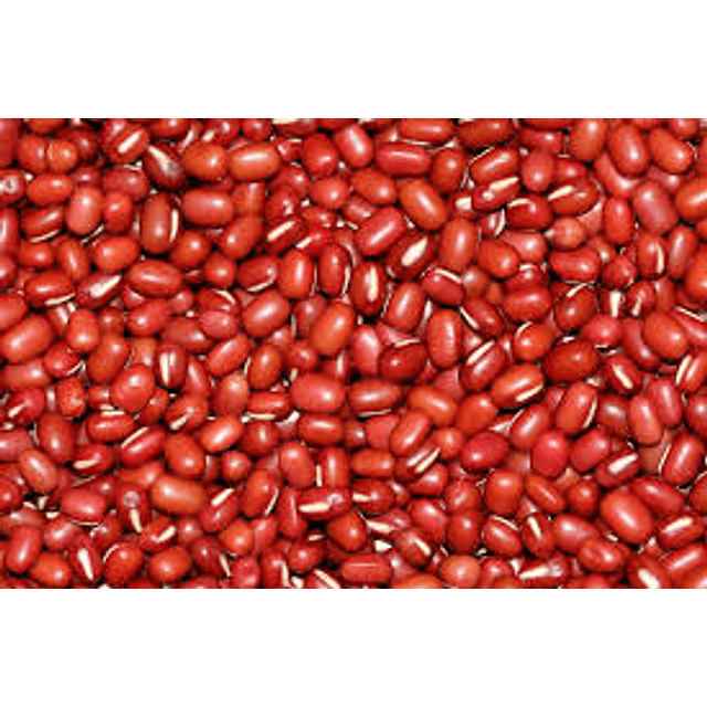 紅豆 1 公斤