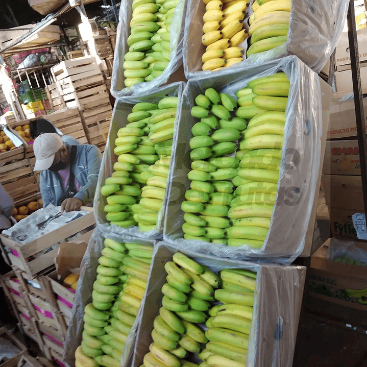 Banano Orgánico / Caja 2