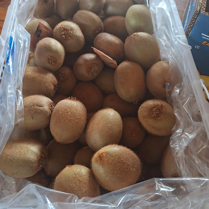 kiwi x 10 kg 2
