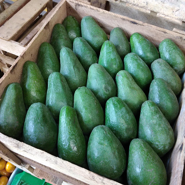 Palta Fuerte x kg 2