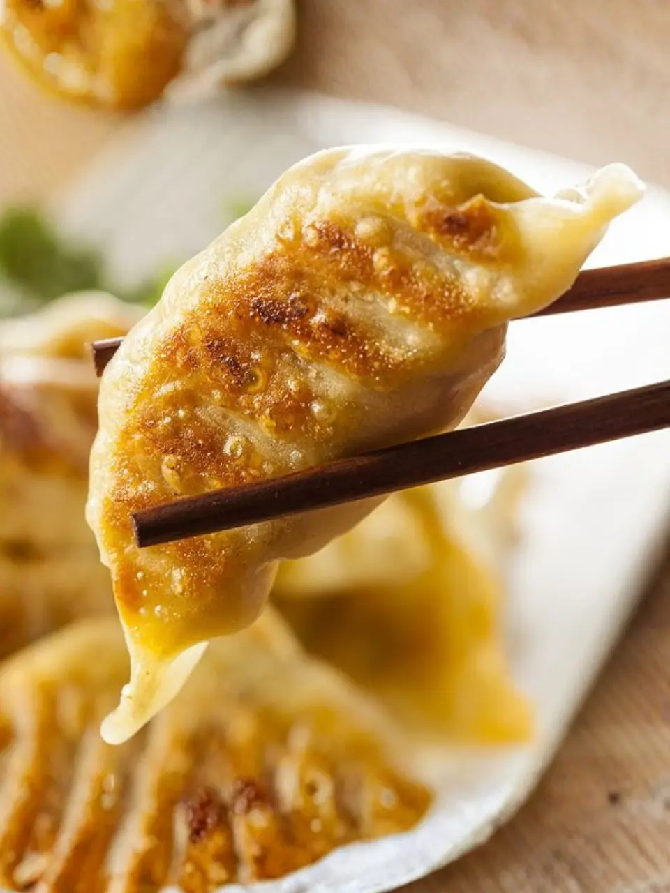 Gyozas 2