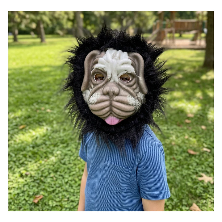 Máscara Animales Salvajes  Infantiles Celebraciones Fiestas 11