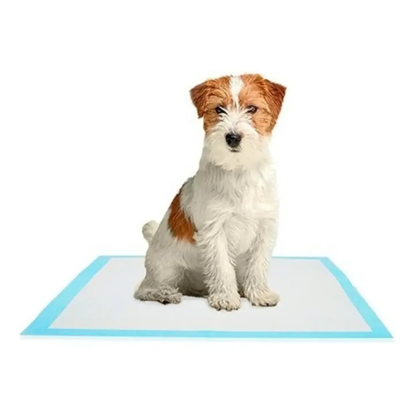Pañales Tipo Sabanillas Mascotas Perros Y Gato 90x60 Cms 3