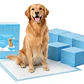 100 Pañales Sabanillas Absorbentes Mascota Perros 60x90cm Azul - Miniatura 1