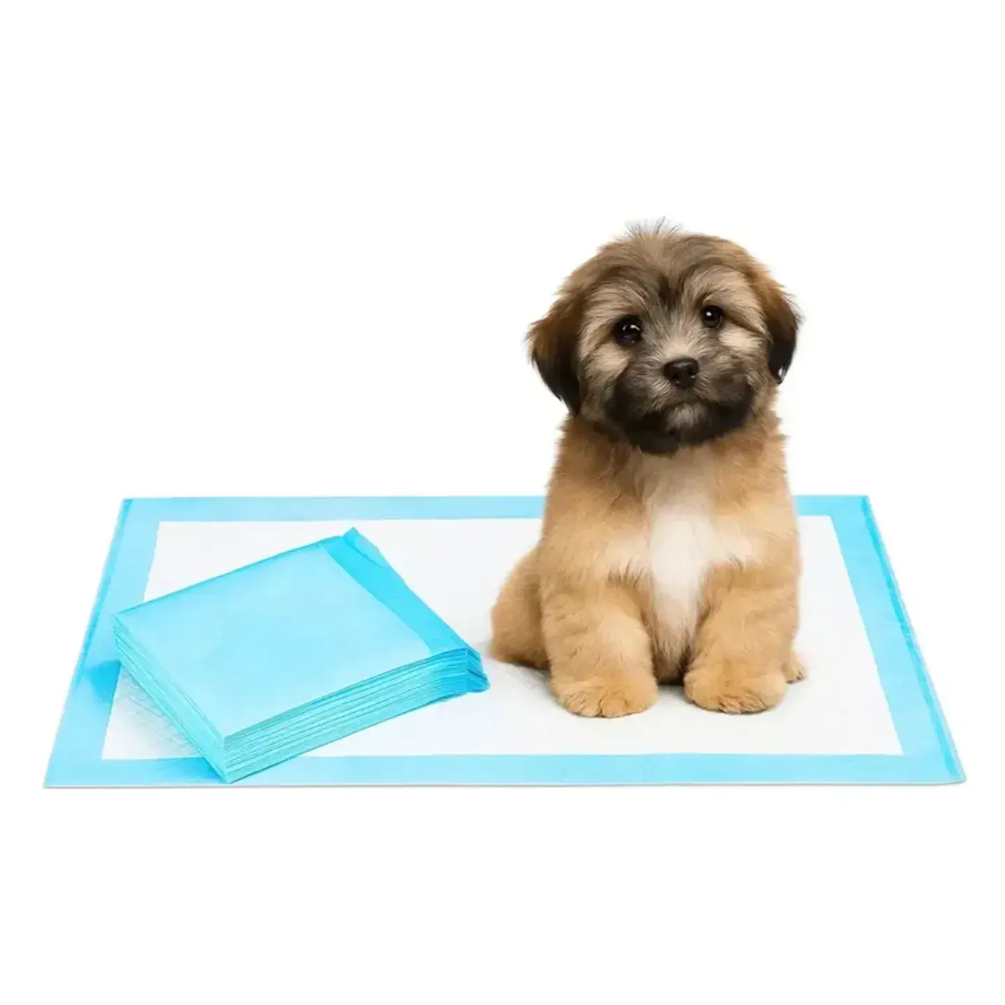 Sabanillas para Perros Roro 60x90 Pack de 60 Unidades 4