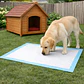 Sabanillas para Perros Roro 60x90 Pack de 60 Unidades - Miniatura 6