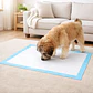 Sabanillas para Perros Roro 60x90 Pack de 60 Unidades - Miniatura 9