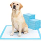 Sabanillas para Perros Roro 60x90 Pack de 60 Unidades - Miniatura 1