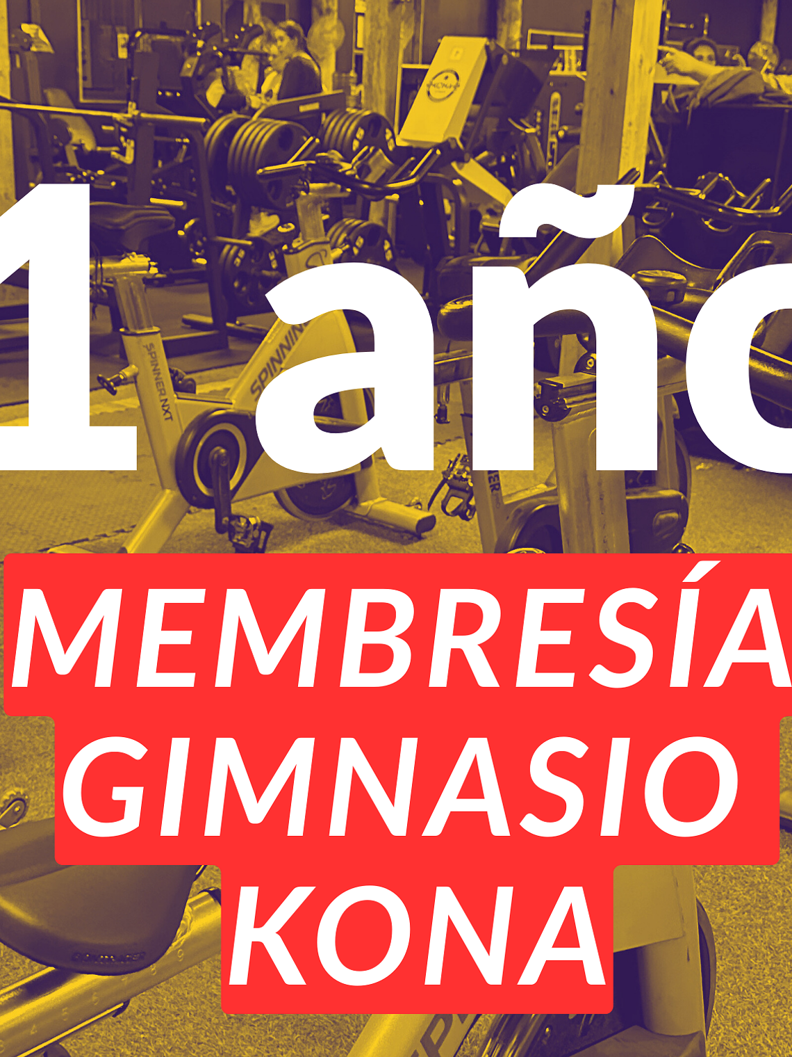 1 año de membresia Gimnasio Kona 1