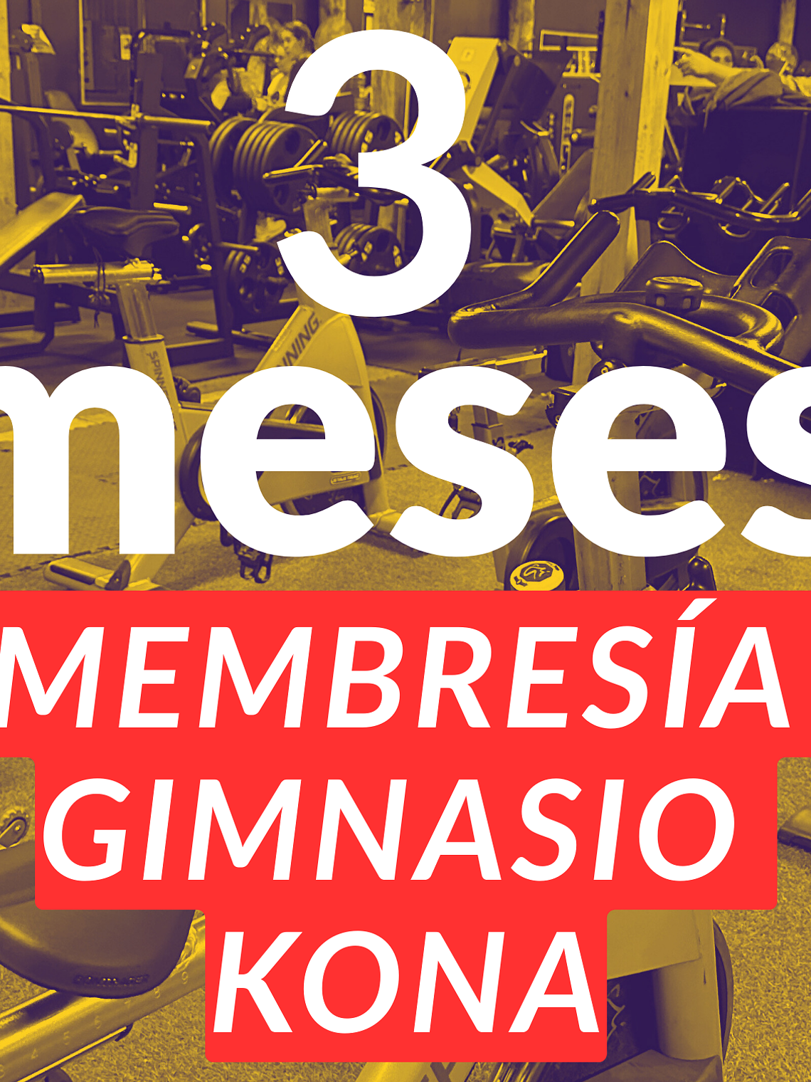 3 Meses en Gimnasio Kona  1