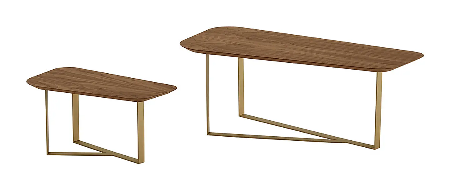 Set of Two Amora Coffee Tables 2