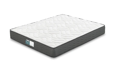 Molaflex Firm Mattress