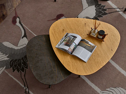 Corvo Coffee Table 05+06