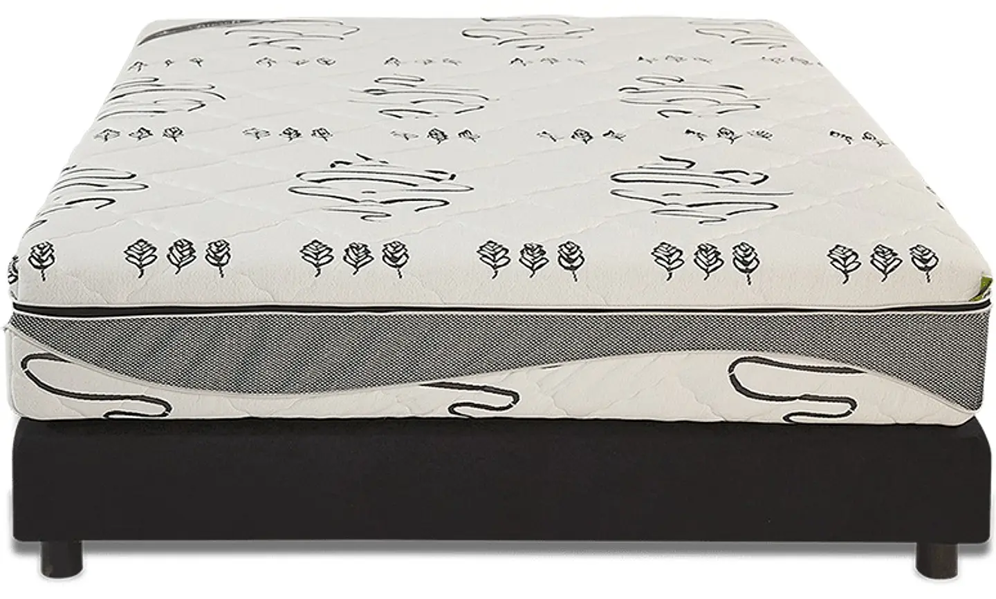 Matelas surmatelas Futurocol Biosoft Collection 1