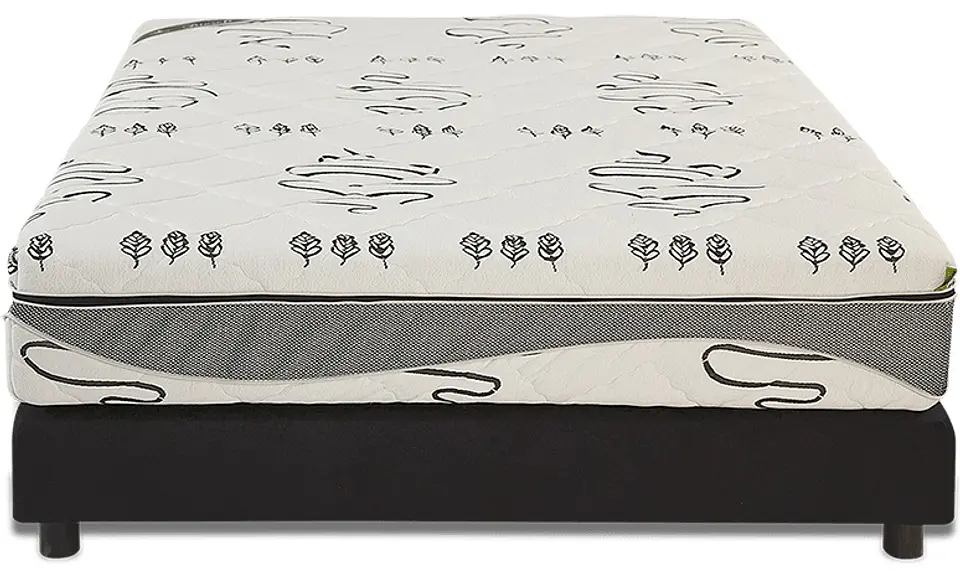 Matelas surmatelas Futurocol Biosoft Collection 1