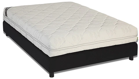 Futurocol Biosoft Mattress