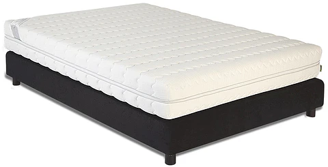 Futurocol Ergonstyl Mattress