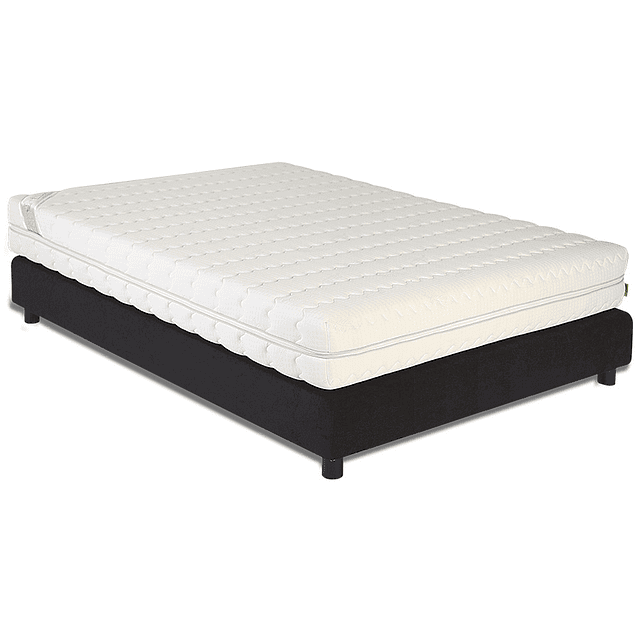 Futurocol Ergonstyl Mattress