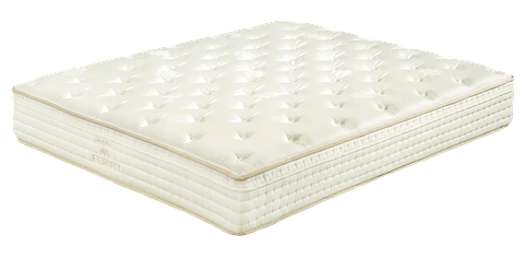 Molaflex Eternity Multi Mattress
