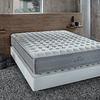 Molaflex WBX Body Mattress