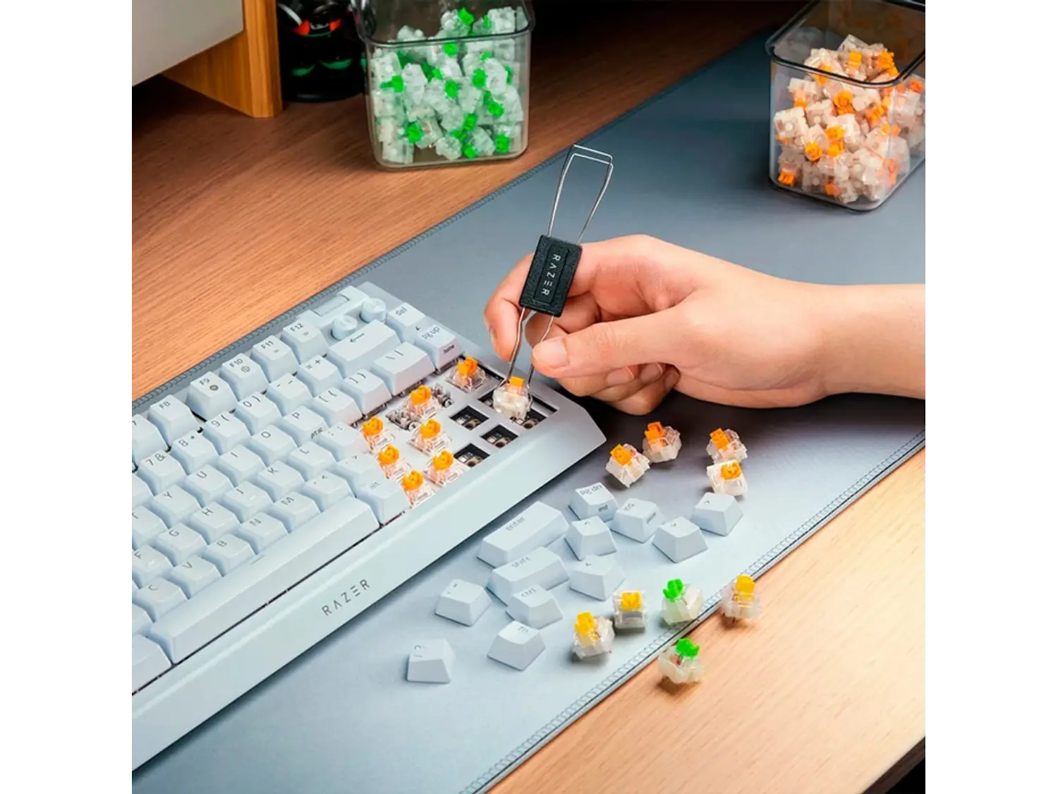 Teclado Gamer Razer Blackwidow V4 Mercury 75%, Switch Naranjos, Inglés 6