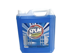 Limpiavidrios 5 Litros - Bidon de Limpiavidrios