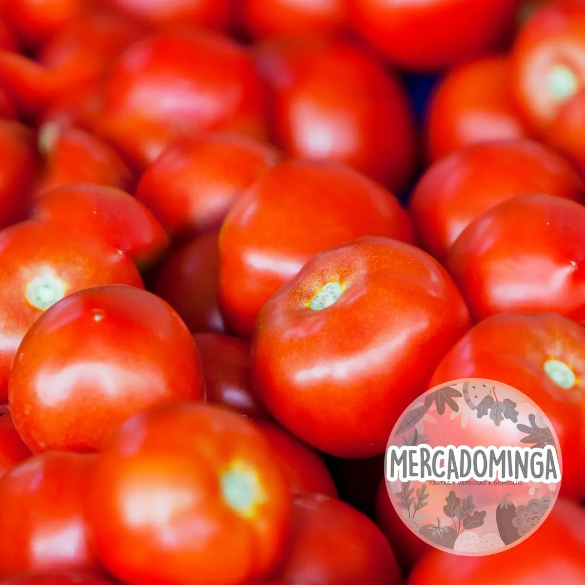 Semillas De Tomate Cherry Monterrey - Mini Dátiles, Fácil Cultivo, Marca Sperli, Ideal Huerto