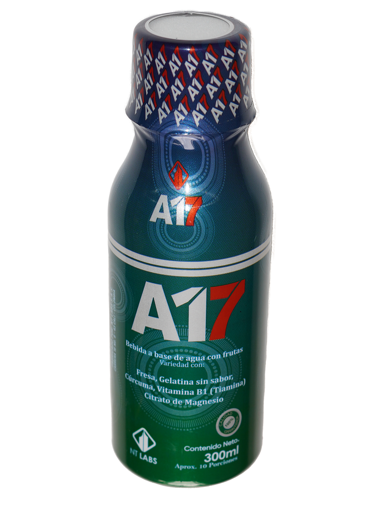 A17 1