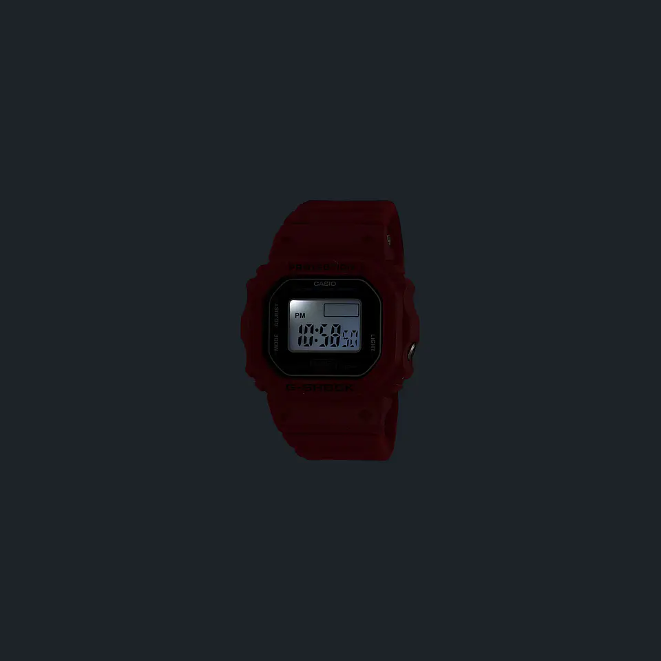 Nano DWN-5600-4ER 10
