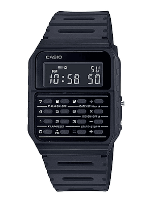 Databank Series CA-53WF-1BEF
