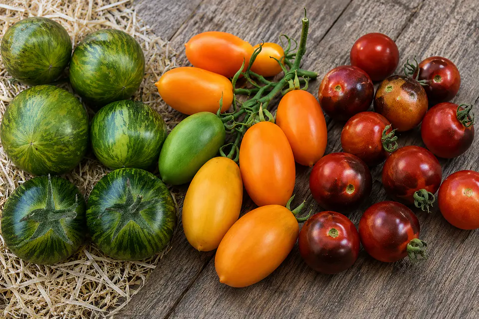 Kit de Iniciación a la Siembra de Tomates 2