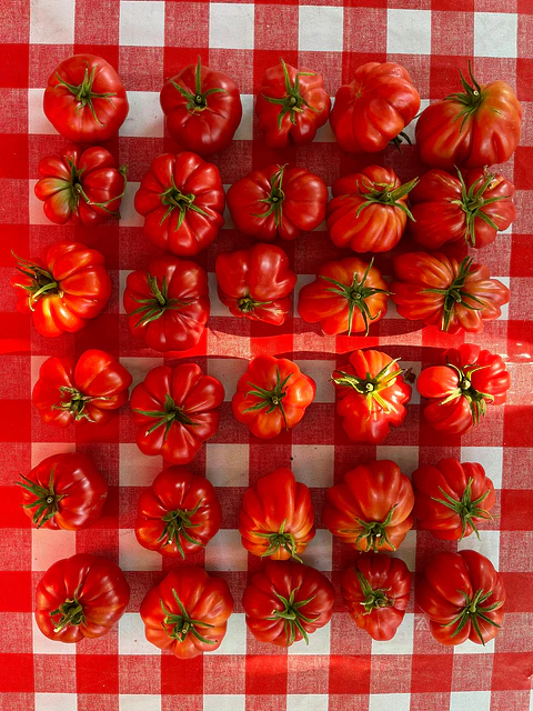 Semillas Tomates "La Cooka" variedades 2