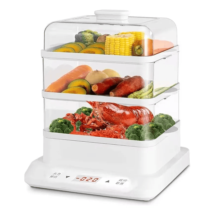 VAPORERA DE ALIMENTOS 2