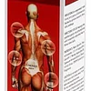 CREMA RELAJANTE MUSCULAR 1