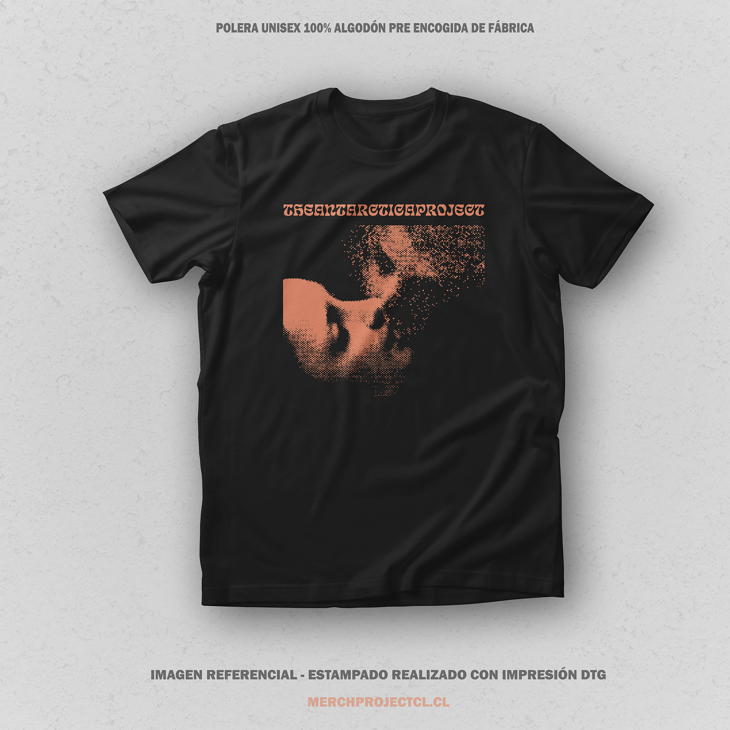 Polera Crewneck Current State - The Antarctica Project 1