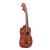 Ukulele Concierto Washburn U20