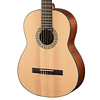 Guitarra Electroacústica Walden N550E C/Funda