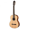 Guitarra Electroacústica Walden N550E C/Funda