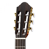 Guitarra Electroacústica Walden N550E, C/Funda