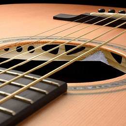 Guitarra Electroacústica Walden G3030Rce C/Case