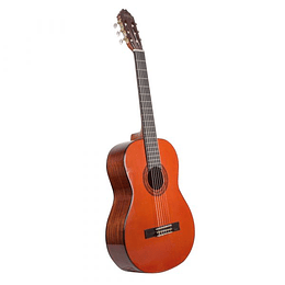 Guitarra Acústica Washburn C5 Natural