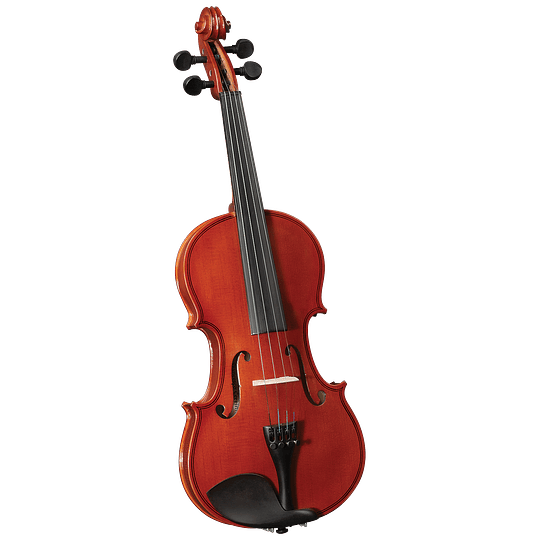 Violin Cervini Novice HV-100 4/4, Con Estuche Y Arco