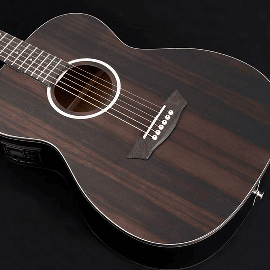 Guitarra Electroacústica Washburn DFEFE, Deep Forest Ebony