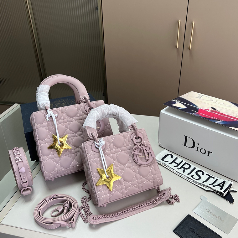 Dior bag 1
