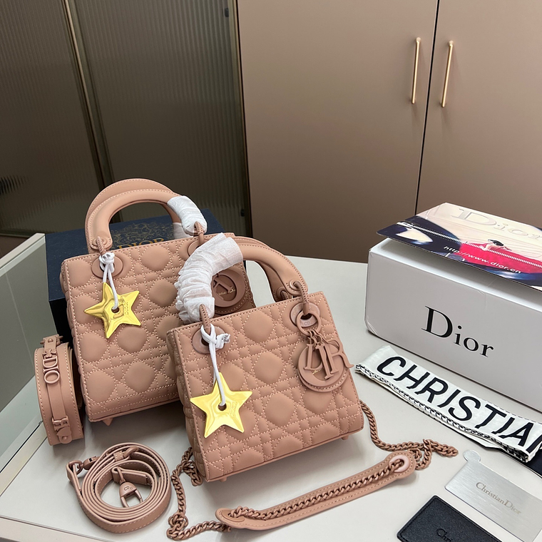 Dior bag 2
