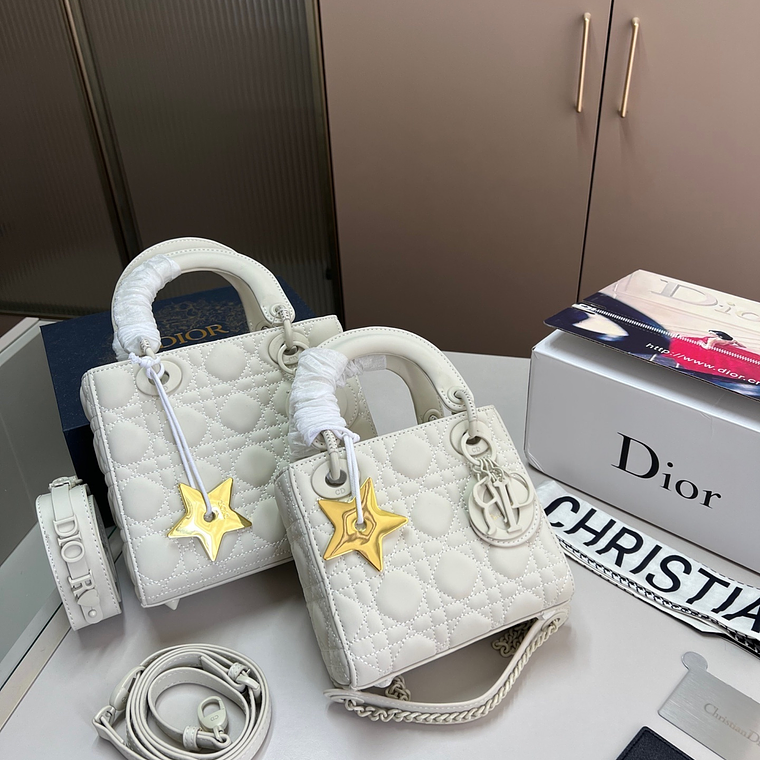 Dior bag 3