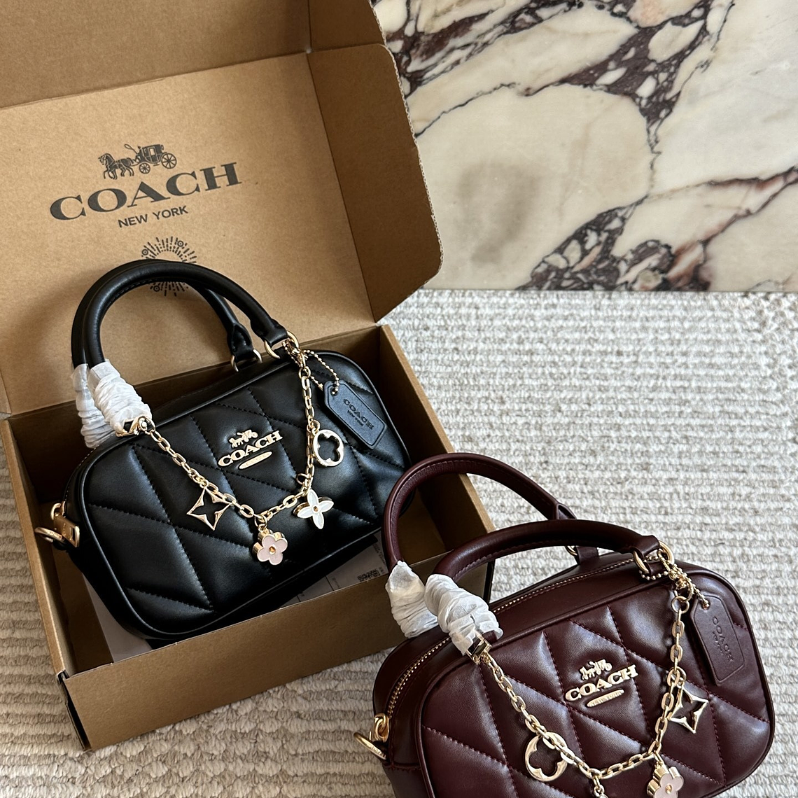 Coach bag 003 1