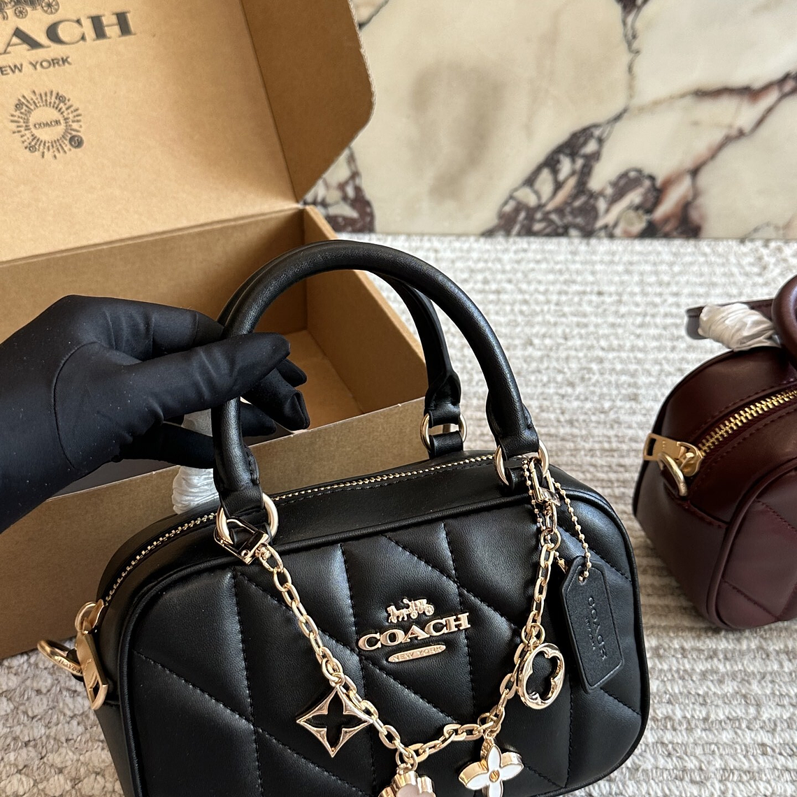 Coach bag 003 3