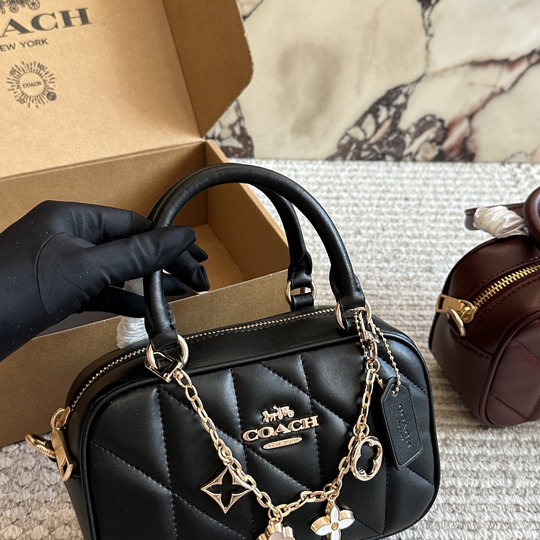 Coach bag 003 3